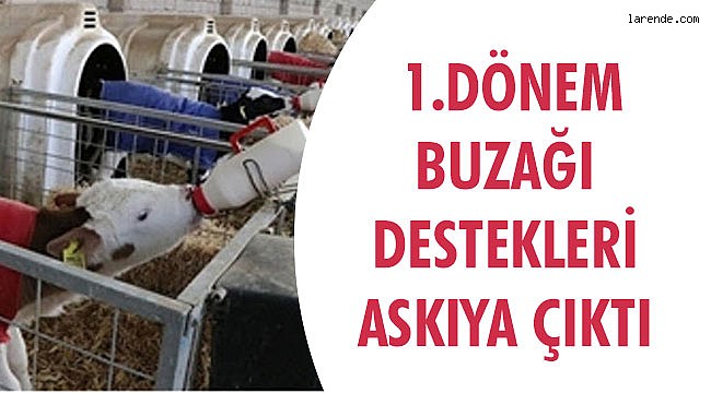  1.DÖNEM BUZAĞI DESTEKLERİ ASKIYA ÇIKTI