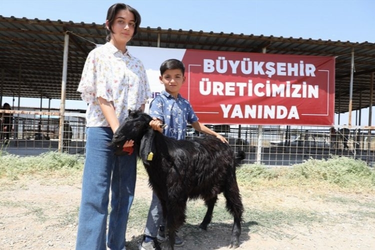 Hayvan Üreticilerini Sevindiren Hibe