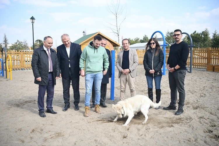 Kayseri'de köpek eğitim parkı Millet Bahçesi'nde hizmete hazır