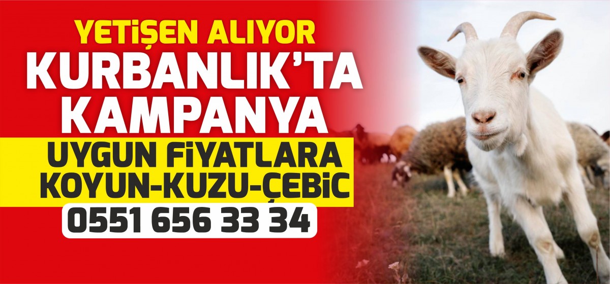 KURBANLIK KESMEYEN KALMASIN YETİŞEN ALIYOR