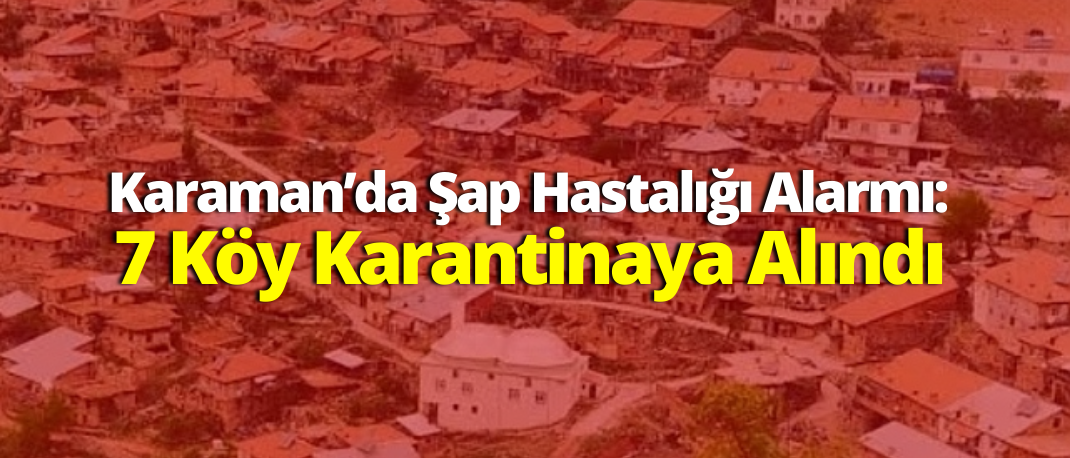 Karaman’da Şap Hastalığı Alarmı: 7 Köy Karantinaya Alındı