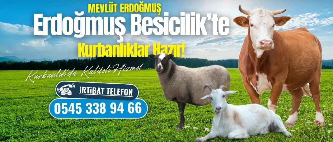 Kurban Bayramı'nın Bereketi Erdoğmuş Besicilik’te