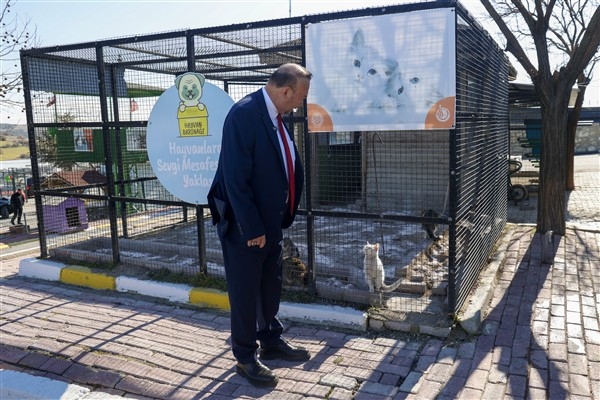 Uşak Belediyesi’nden vatandaşlara hayvan sahiplenme çağrısı