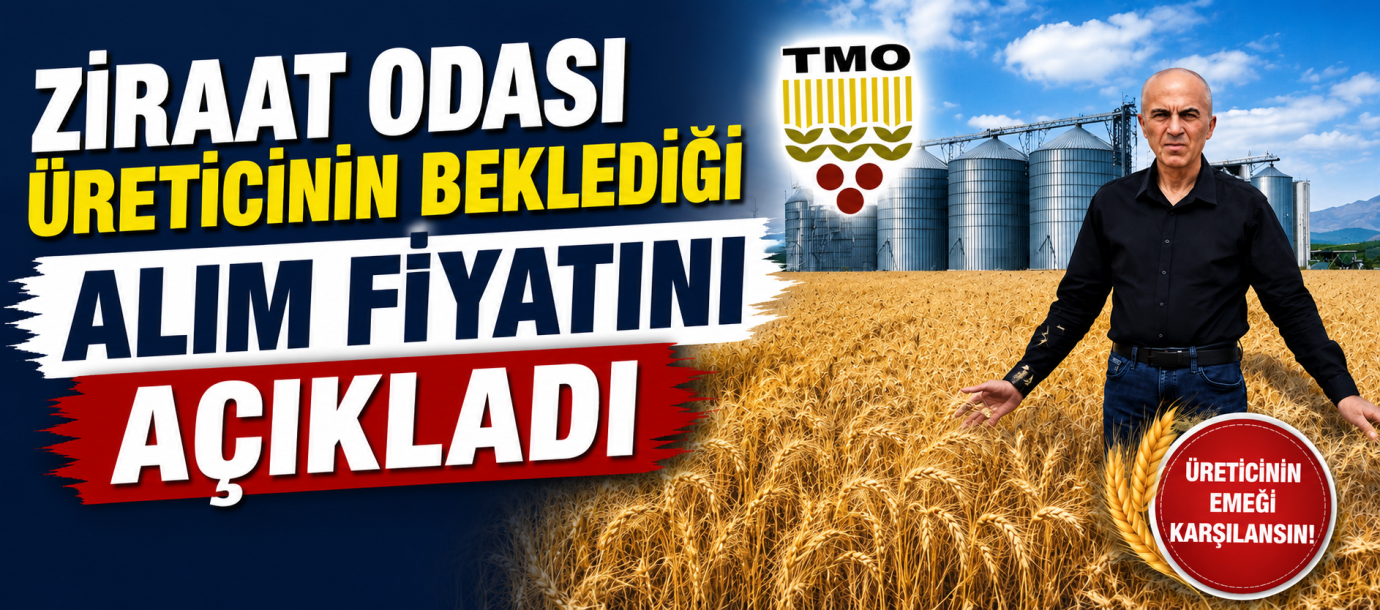 ZİRAAT ODASI ÜRETİCİNİN BEKLEDİĞİ ALIM FİYATINI AÇIKLADI