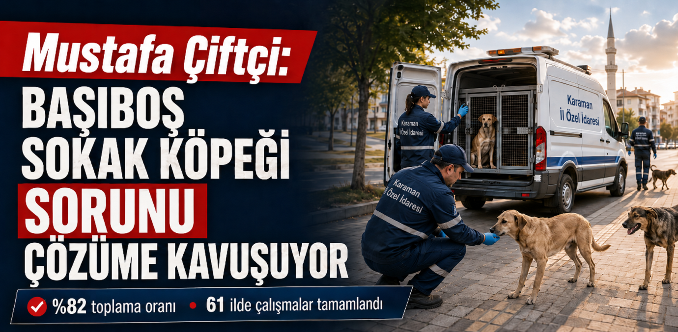 Mustafa Çiftçi: Başıboş Sokak Köpeği Sorunu Çözüme Kavuşuyor