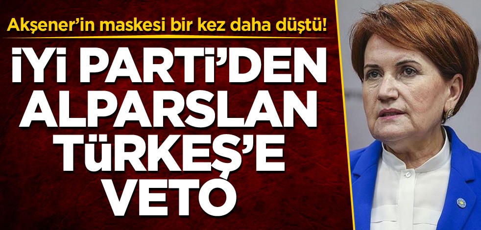Akşener’in maskesi bir kez daha düştü! İYİ Parti'den Alparslan Türkeş'e veto