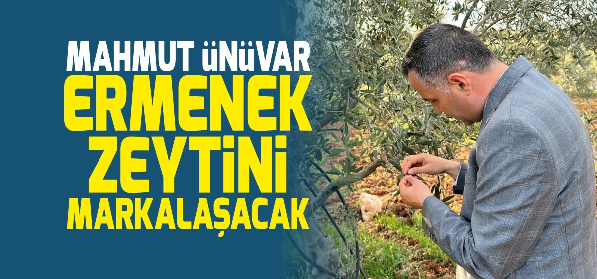 Mahmut Ünüvar: ‘’Ermenek zeytini markalaşacak’’