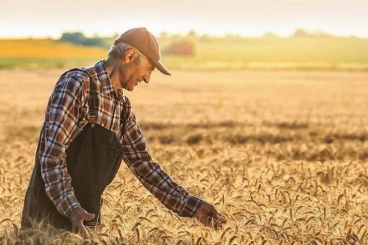 Tarım-GFE yıllık yüzde 33,22 arttı