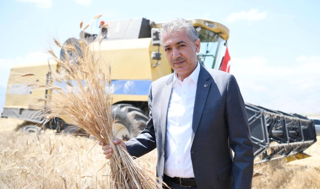 Vali Akkoyun Buğday Hasadına Katıldı