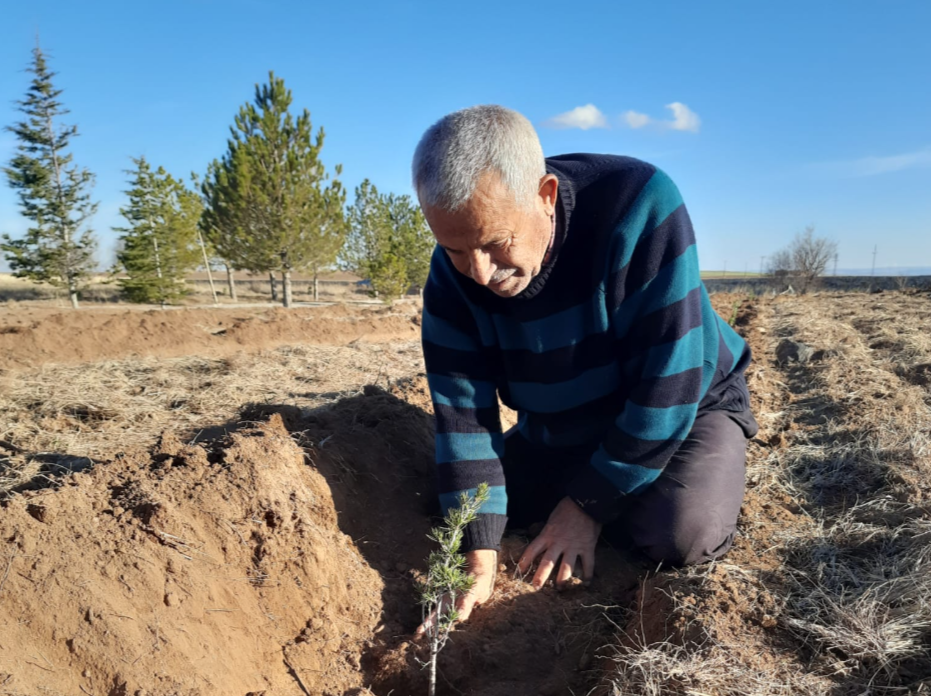 Mecidiye Köyü, İmece Geleneğini Yeniden Canlandırdı: 400 Fidan Toprağa Verildi