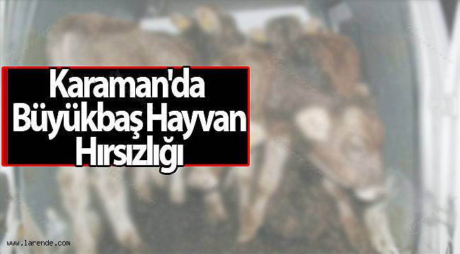 Karaman`da Büyükbaş Hırsızlığı