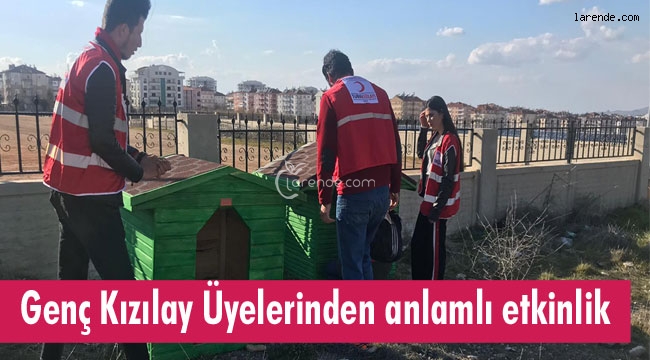 KMÜ İçerisine 5 tane köpek kulübesi 