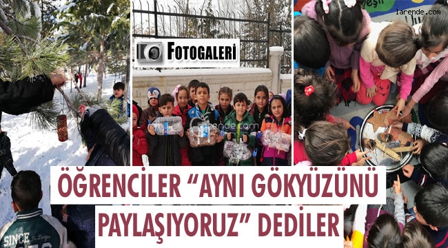 Mehmet Çavaş İlkokulu