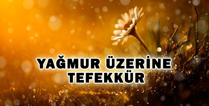 Yağmur Üzerine Tefekkür