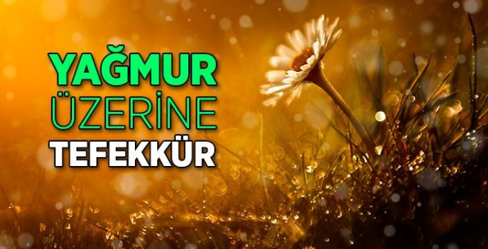 Yağmur Üzerine Tefekkür
